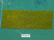 Prodej trvalého travního porostu, Planá nad Lužnicí, 12123 m2
