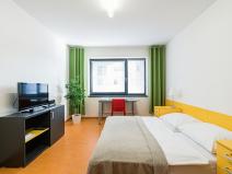 Pronájem bytu 1+kk, Brno, Studentská, 32 m2