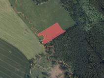 Prodej trvalého travního porostu, Olšany, 11228 m2