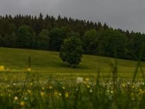 Prodej podílu zahrady, Útvina, 3314 m2