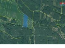 Prodej trvalého travního porostu, Bor - Borovany, 99231 m2