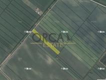 Prodej zemědělské půdy, Velké Bílovice, 4713 m2