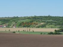 Prodej pozemku, Bořetice, 1245 m2