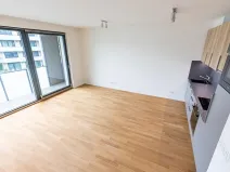 Prodej bytu 1+kk, Praha - Žižkov, Seifertova, 44 m2