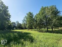 Pronájem komerčního pozemku, Jeníkov, 13072 m2