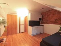 Pronájem bytu 1+kk, Praha - Smíchov, Radlická, 17 m2