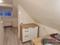 Pronájem bytu 1+kk, Praha - Dejvice, Evropská, 19 m2