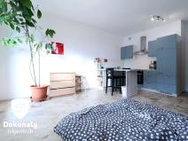 Pronájem bytu 1+kk, Praha - Dolní Měcholupy, Kardausova, 32 m2