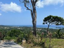 Prodej pozemku, French Harbour, Roatán, Honduras, 2428 m2