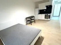 Pronájem bytu 1+kk, Praha - Nusle, Na bitevní pláni, 27 m2