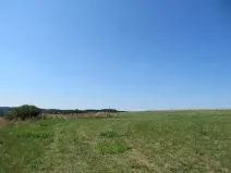 Dražba pole, Čerňovice, 5000 m2