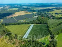 Prodej sadu/vinice, Plzeň, 1000000 m2