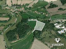 Prodej pole, Okrouhlá Radouň, 12580 m2