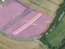 Prodej pozemku pro bydlení, Zruč nad Sázavou, 6436 m2