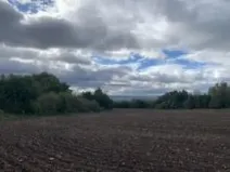Dražba pole, Staňkovice, 1500 m2