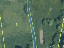 Dražba louky, Chodová Planá, 354 m2