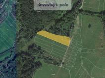 Prodej louky, Neurazy - Nová Ves u Nepomuka, 6998 m2