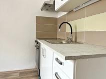 Pronájem bytu 1+kk, Dolní Poustevna, Vilémovská, 44 m2