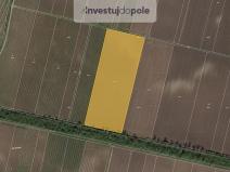 Prodej pole, Novosedly, 31401 m2