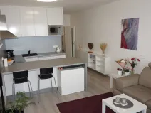 Pronájem bytu 1+kk, Brno, Řípská, 40 m2