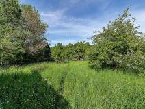 Prodej pozemku pro bydlení, Podmokly, 1379 m2