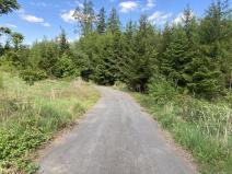 Prodej lesa, Kladruby, 287 m2