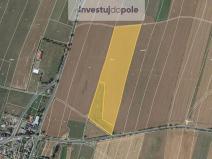 Prodej pole, Melč, 2420 m2