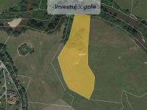 Prodej louky, Třebechovice pod Orebem - Krňovice, 7720 m2