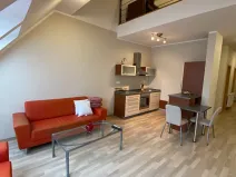 Pronájem bytu 2+1, Brno, Náplavka, 45 m2