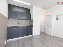 Prodej bytu 1+kk, Ostrava - Moravská Ostrava, U Parku, 25 m2