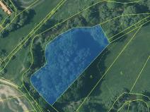Prodej rybníku, Třeboň, 9420 m2