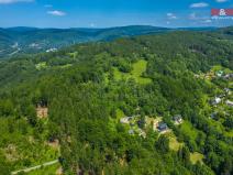 Prodej lesa, Tanvald - Šumburk nad Desnou, 1984 m2