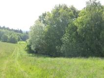 Dražba louky, Pluhův Žďár, 2746 m2