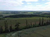 Dražba louky, Újezdec, 4351 m2