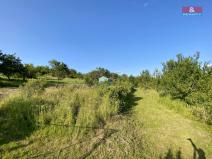 Prodej zahrady, Syrovín, 1031 m2