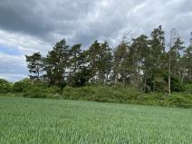 Prodej lesa, Blížejov - Lštění, 1122 m2