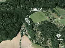 Prodej lesa, Vráž, 2989 m2