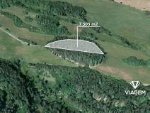 Prodej podílu lesa, Vyšší Brod, 1250 m2