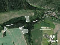 Prodej podílu lesa, Chlum, 2809 m2