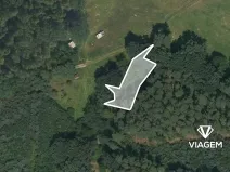Prodej lesa, Úštěk, 1007 m2