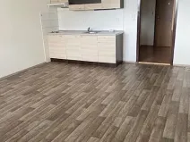 Pronájem bytu 1+kk, Olomouc, Voskovcova, 39 m2