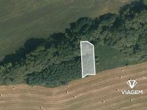Prodej pole, Sousedovice, 531 m2