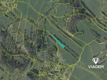 Prodej podílu lesa, Lovečkovice, 651 m2