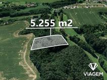 Prodej lesa, Branžež, 5255 m2