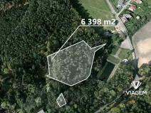 Prodej lesa, Veliny, 6398 m2
