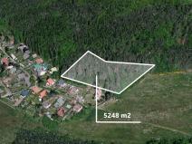 Prodej podílu lesa, Stříbrná Skalice, 2040 m2