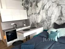 Pronájem bytu 1+kk, Písek, Vladislavova, 20 m2