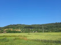 Prodej zahrady, Sušice, Pod Svatoborem, 422 m2