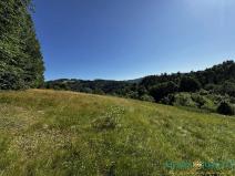 Prodej pozemku pro bydlení, Velká Lhota, 11334 m2