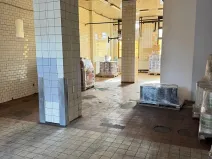 Pronájem skladu, Pardubice, Jana Palacha, 162 m2